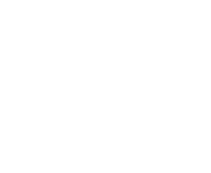 Logo Generale Sport Management